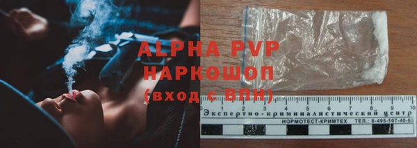 прущие грибы Зеленодольск