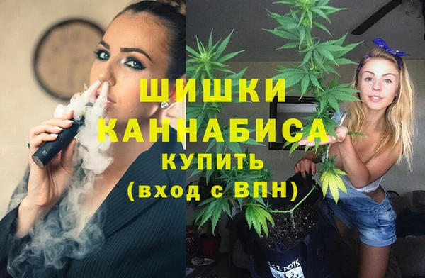 стаф Инсар