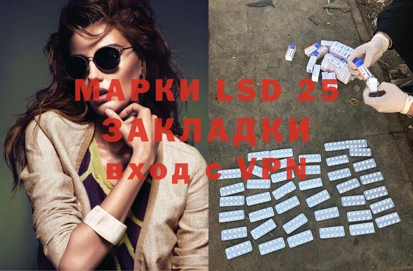 прущие грибы Зеленодольск