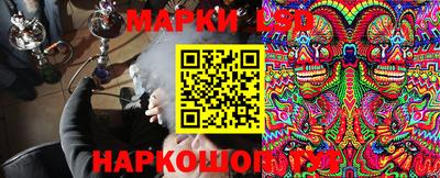 крисы Ирбит