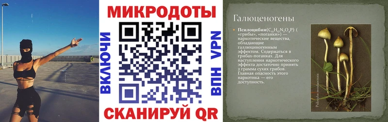 Псилоцибиновые грибы Psilocybe  Рассказово 