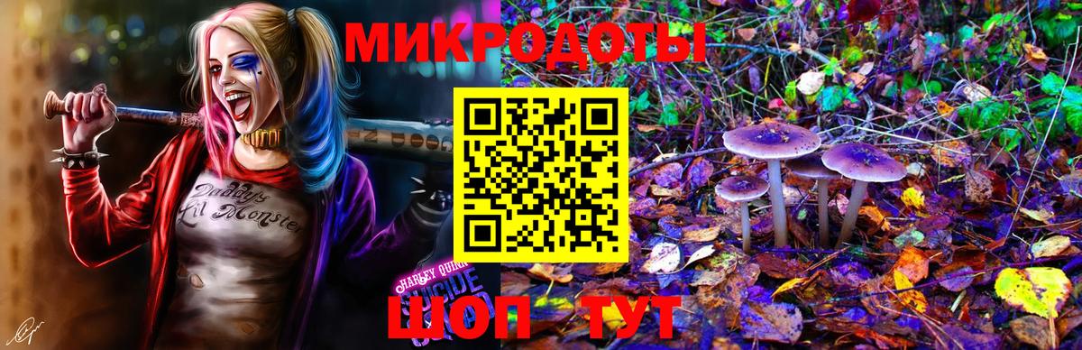 Рассказово  где продают   Вход с VPN  Псилоцибиновые грибы Cubensis 