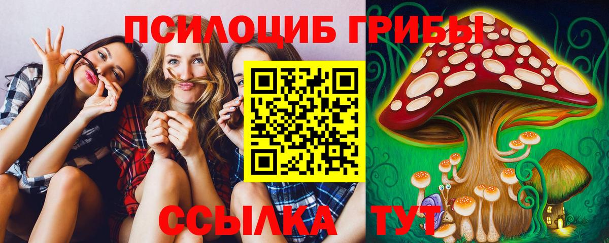 Псилоцибиновые грибы мухоморы Рассказово